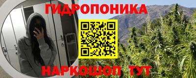 прущие крисы Волжск