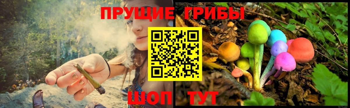 Галлюциногенные грибы Magic Shrooms  Галлюциногенные грибы GOLDEN TEACHER  Ленинск-Кузнецкий  Вход с VPN 